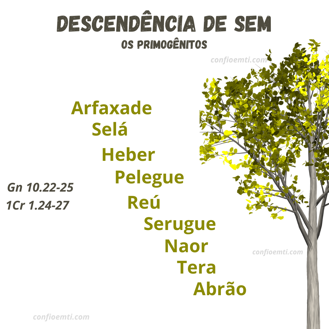 Descendentes de Sem – Confio em Ti