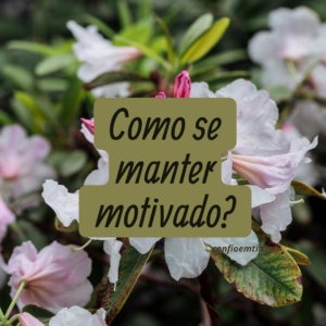 Motivação: uma chave para uma vida cristã saudável e frutífera